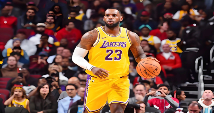 墨尔本骑士vs布琳狮子直播_墨尔本骑士vs布琳狮子直播赛事免费直播平台_墨尔本骑士vs布琳狮子直播赛事实时观看-24直播